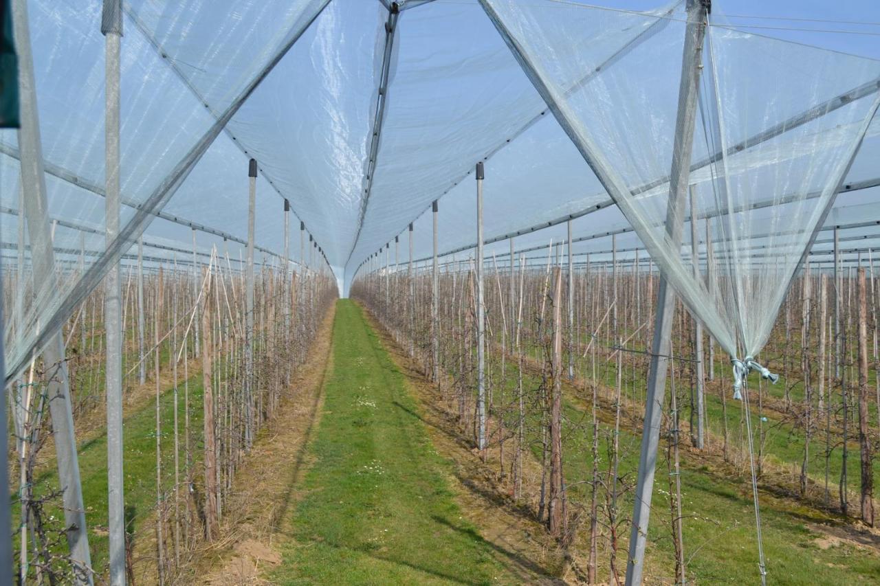 Hoeve Jadoul Gingelom Εξωτερικό φωτογραφία